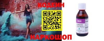 индика Сланцы