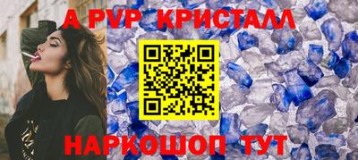 индика Сланцы