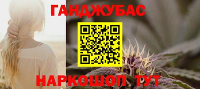индика Сланцы