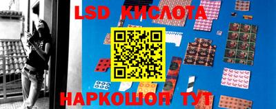 прущие грибы Славгород