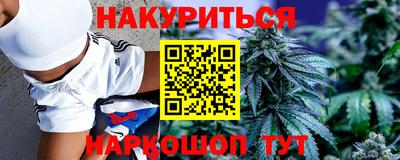 индика Сланцы