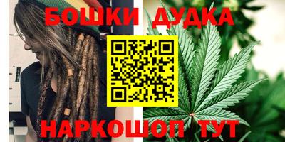 прущие грибы Славгород
