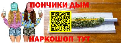 индика Сланцы