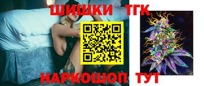 индика Сланцы