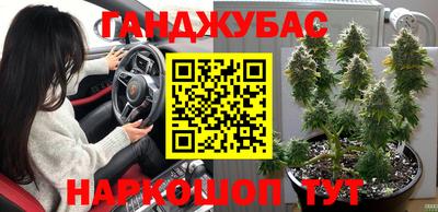прущие грибы Славгород
