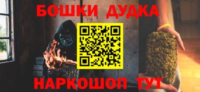 индика Сланцы