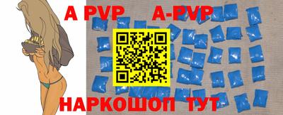 индика Сланцы