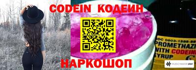 индика Сланцы