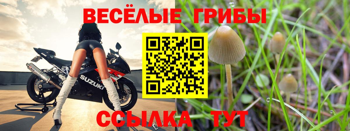 купить   Псилоцибиновые грибы ЛСД  Подольск  Вход с VPN  Галлюциногенные грибы ЛСД 